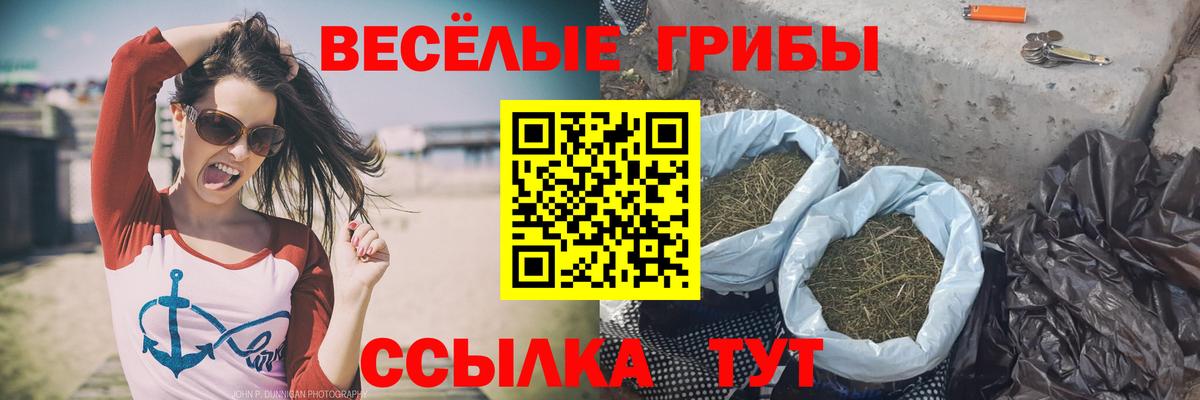 Галлюциногенные грибы GOLDEN TEACHER  Галлюциногенные грибы Magic Shrooms  купить закладку  Ирбит  Вход с VPN 